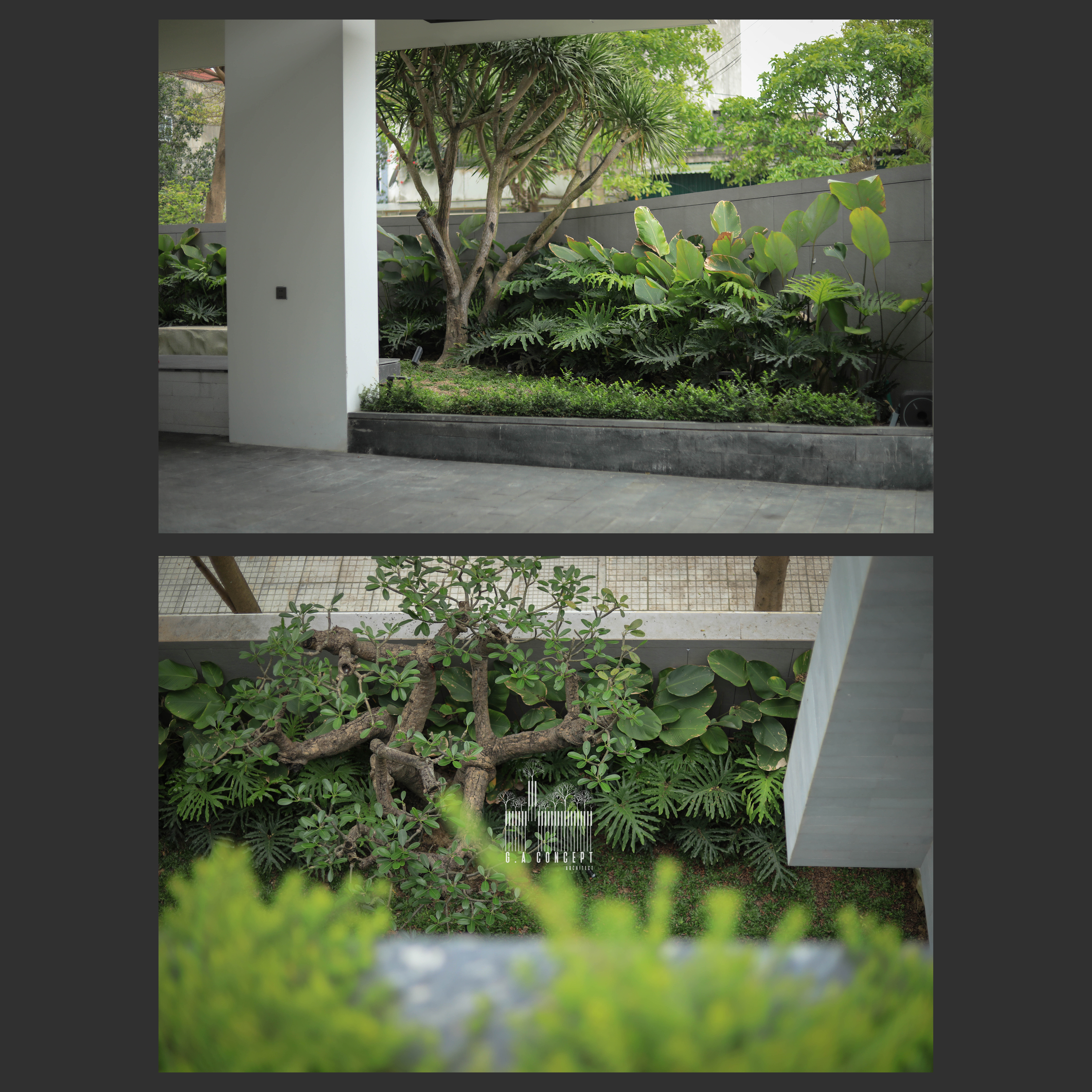 Villa Thành Tiên thumbnail 36