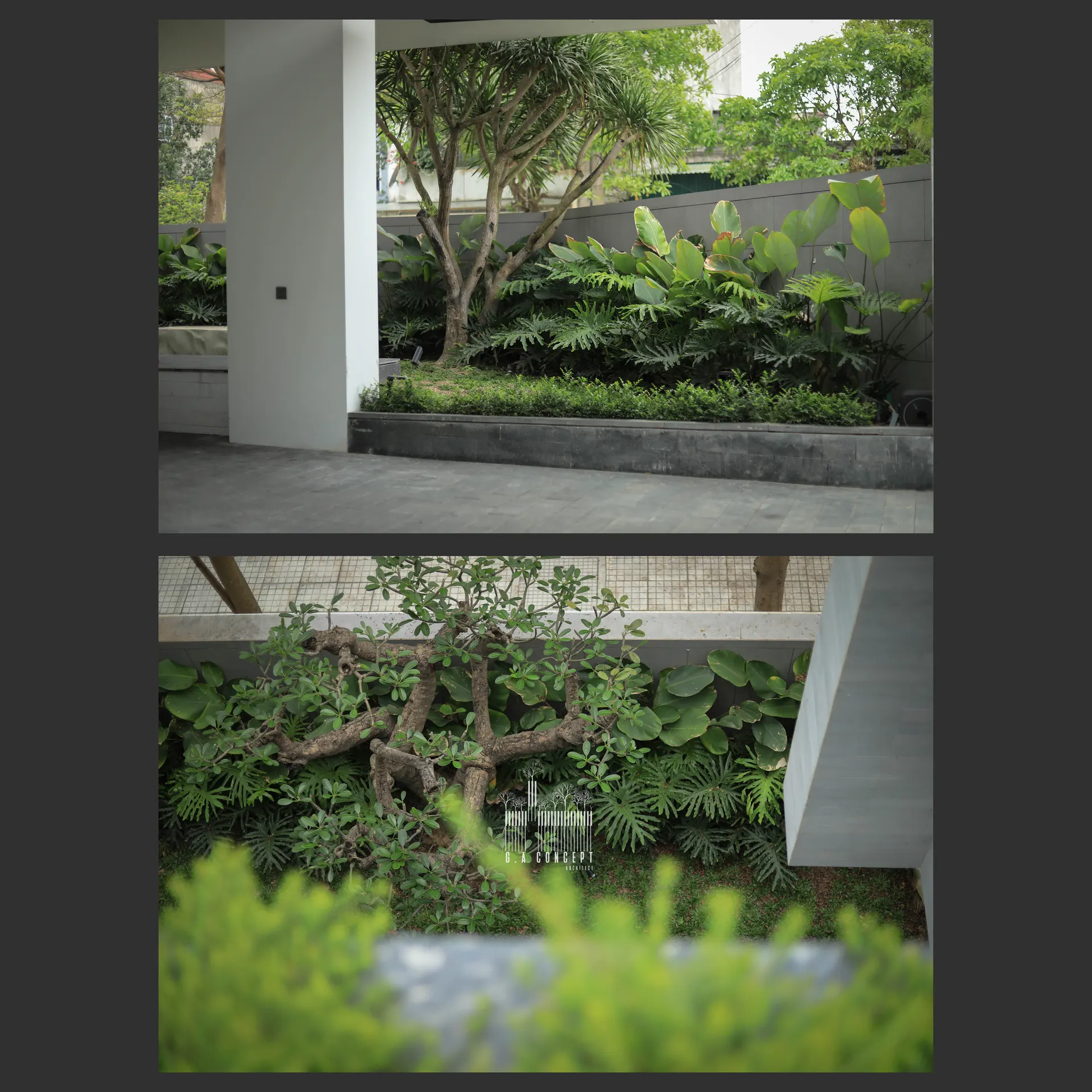 Villa Thành Tiên thumbnail 36